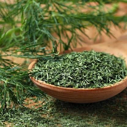 تصویر از شوید خشک